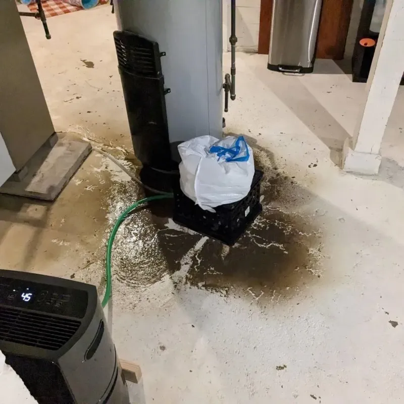 Sewage Backup Cleanup Service in Pennsville, NJ